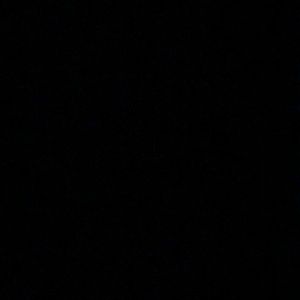 Meet your Posher, Dylan